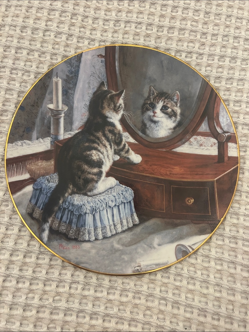 Decorative Cat Collector Plate Victorian Cat Capers Collection